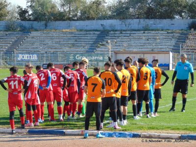 WhatsApp Image 2025-03-12 at 19.04.50